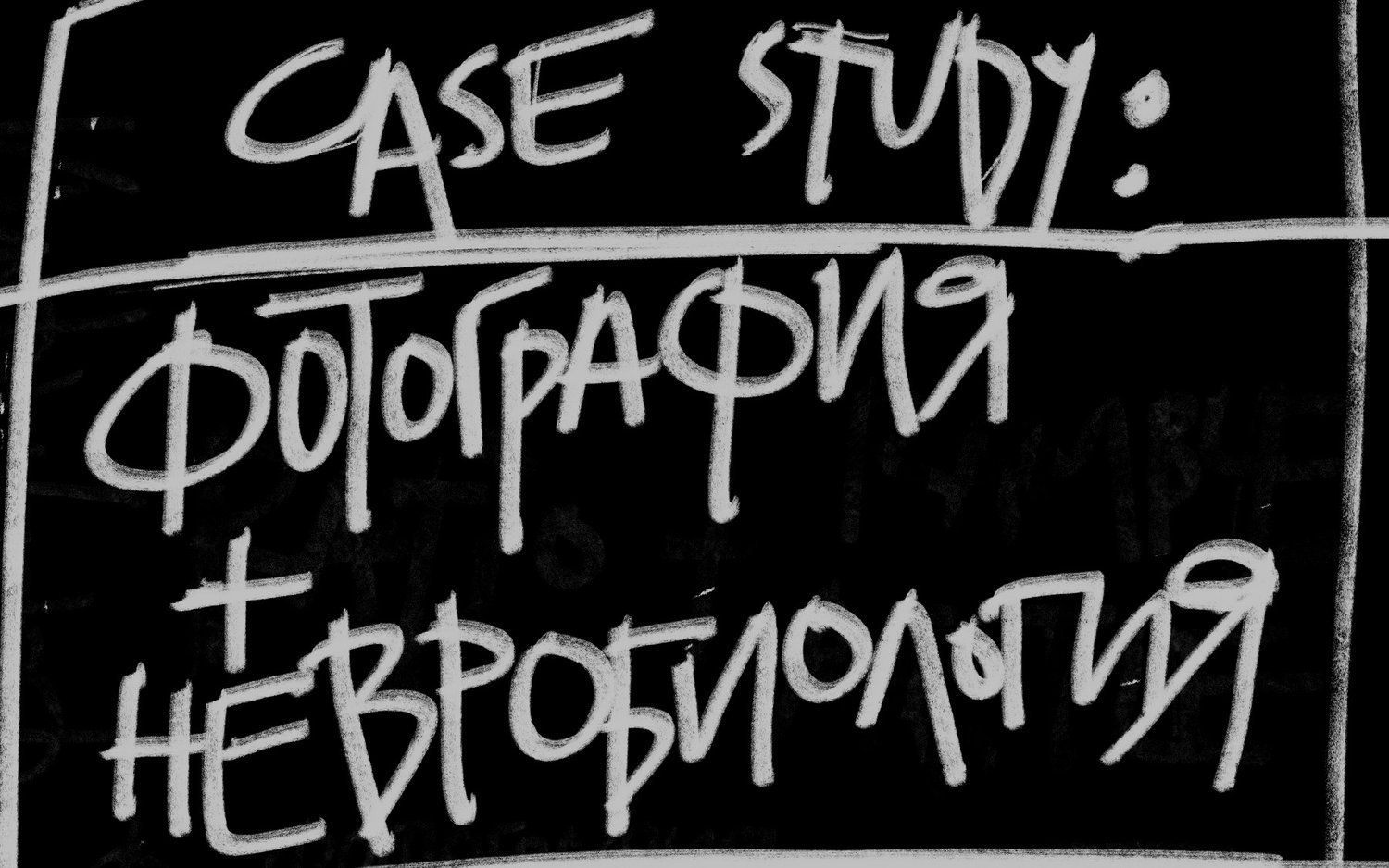 PHOTOGRAPHY + NEUROBIOLOGY