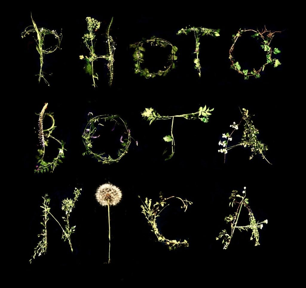 Photobotanica 2025